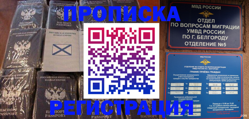 прописка гарантия в Пскове